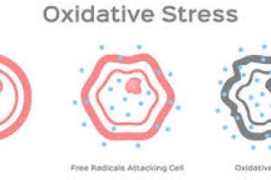 Protect Your Skin: Understanding Free Radicals and Oxidative Stress