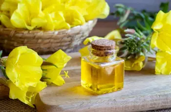Evening Primrose Oil: Benefits and When to Avoid It