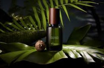 Tamanu Oil Benefits: Calm Breakouts and Heal Acne-Prone Skin Naturally Tamanu Oil Benefits: Calm Breakouts and Heal Acne-Prone Skin Naturally