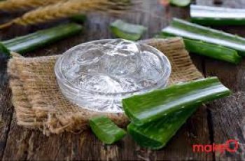 The Healing Power of Aloe Vera for Every Skin Type The Healing Power of Aloe Vera for Every Skin Type