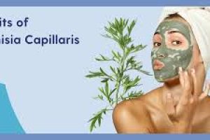 Artemisia Capillaris Benefits: A Gentle Skincare Hero for Sensitive Skin
