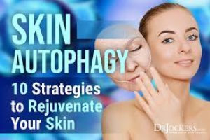 Unlocking Youthful Skin: The Role of Autophagy in Anti-Aging