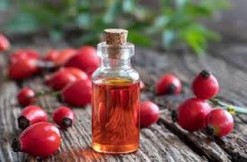 Lactic Acid and Rosehip Oil: How to Layer for Best Results