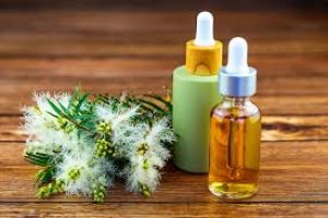 Can Tea Tree Oil Really Help Back Acne? Benefits and Usage Tips