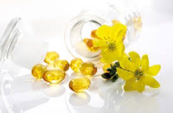 Evening Primrose Oil in Skincare: Key Benefits, Risks, and Uses Evening Primrose Oil in Skincare: Key Benefits, Risks, and Uses