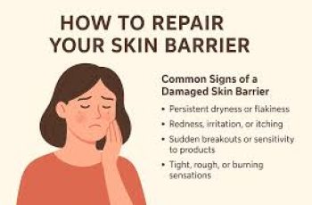 Repair Your Skin Barrier With These Dermatologist Tips Repair Your Skin Barrier With These Dermatologist Tips