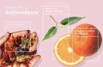Antioxidant Skincare Ingredients Guide for Healthier, Youthful Looking Skin