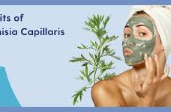Artemisia Capillaris in Skincare for Sensitive and Pigmented Skin