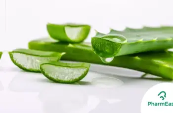 Aloe Vera as a Skin Care Ingredient: Nature’s Soothing Healer Aloe Vera as a Skin Care Ingredient: Nature’s Soothing Healer
