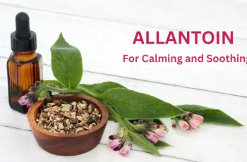 Everything You Need to Know About Allantoin in Skincare Everything You Need to Know About Allantoin in Skincare