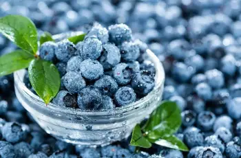 Vaccinium Myrtillus (Bilberry Seed Oil) Extract in Skin Care Vaccinium Myrtillus (Bilberry Seed Oil) Extract in Skin Care
