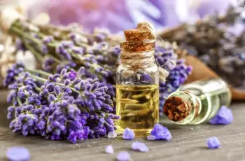 Lavender Oil for Face: Benefits, Uses, and Skin Care Tips