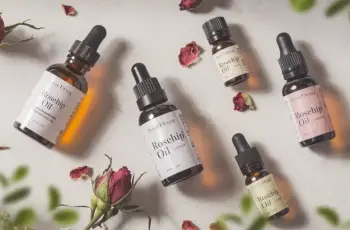 The 17 Best Rosehip Oils of 2026